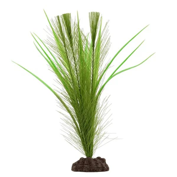 Fluval Aqualife Plant Scapes Green Parrot's Feather Plant - 12 in