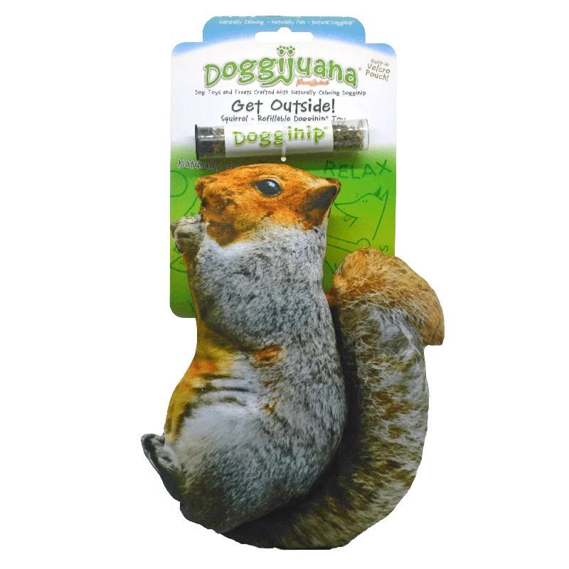 Get Outside Squirrel - Refillable Dogginip® Toy by SmarterPaw™