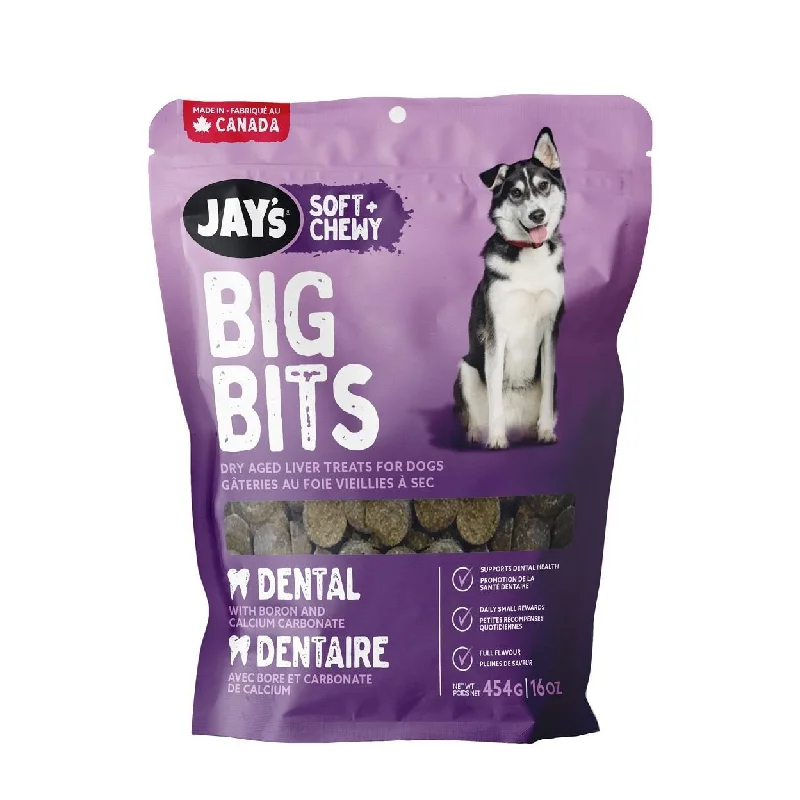 Jay's Big Bits Dental - Available in 2 Sizes