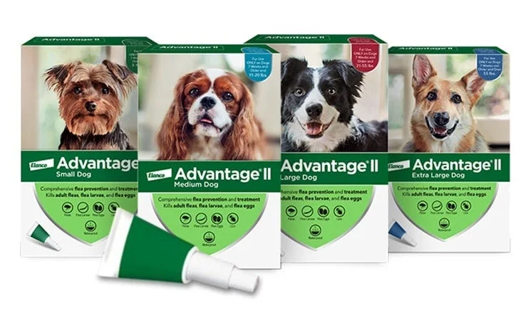 K9 Advantage II for Dogs from Elanco