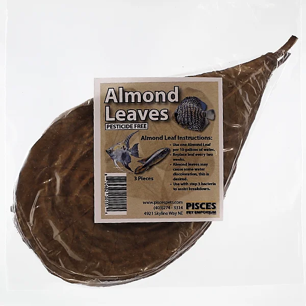 Pisces Almond Leaves - Large