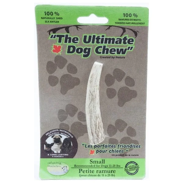 The Ultimate Dog Chew Antler