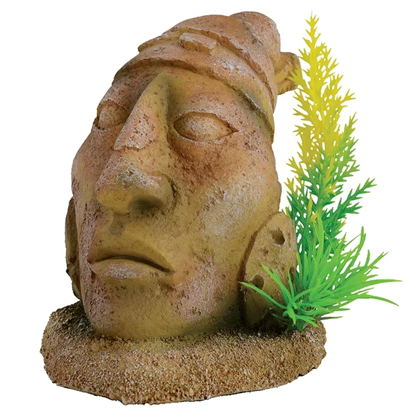 Underwater Treasures Ancient Stone Head Statue