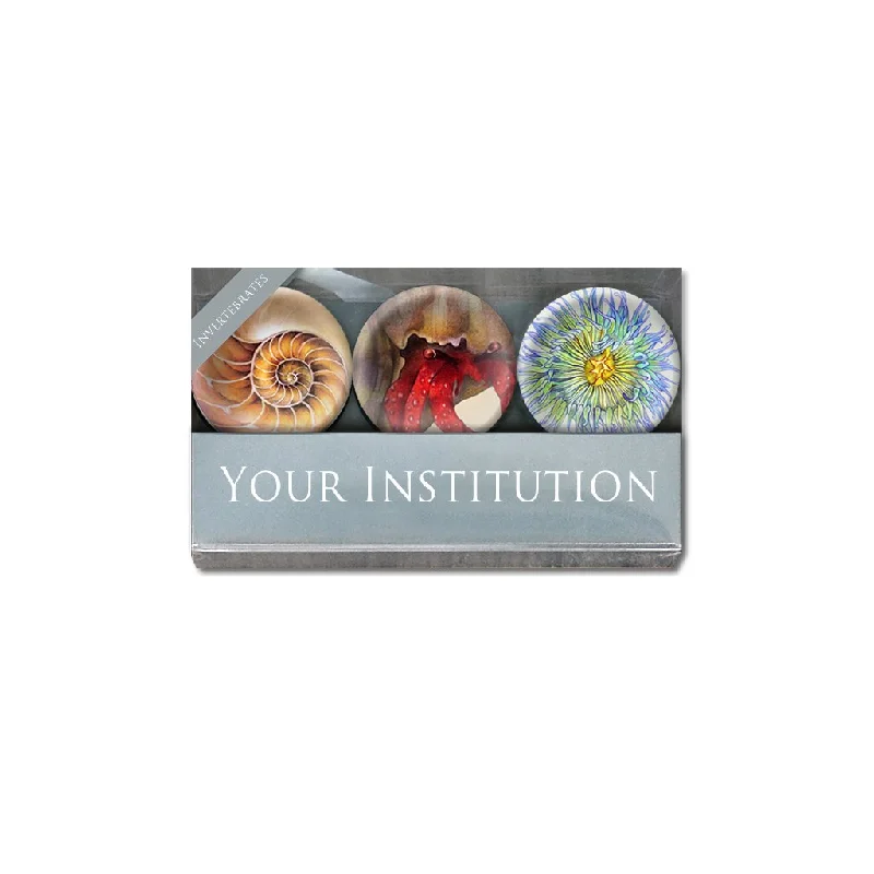 [0045-MGC] Invertebrate Cabochon Magnet or Paper Weight Set