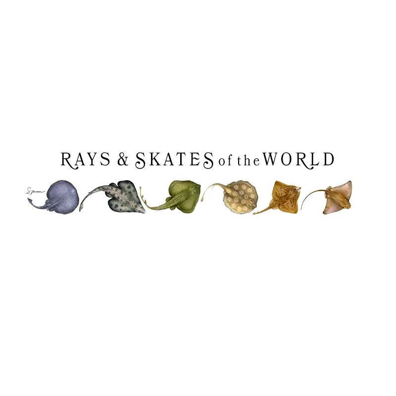 [SA-073] World Rays Skates Stock Art