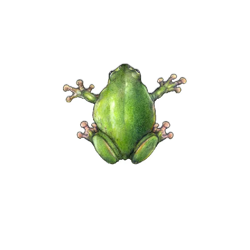 [109-MGL] Whites Tree Frog Laser Magnet