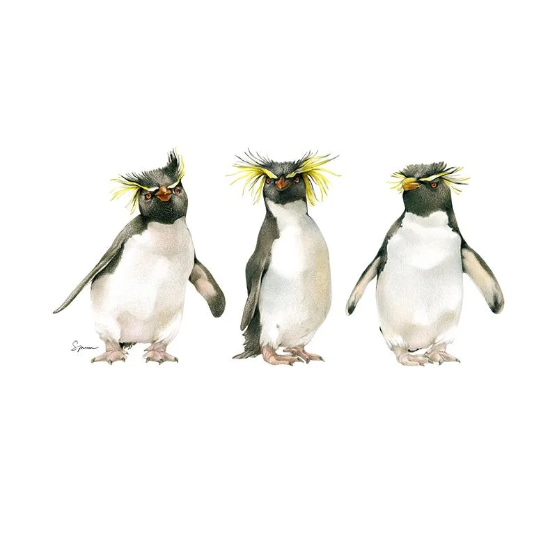 [SA-175] Rockhopper Trio Stock Art