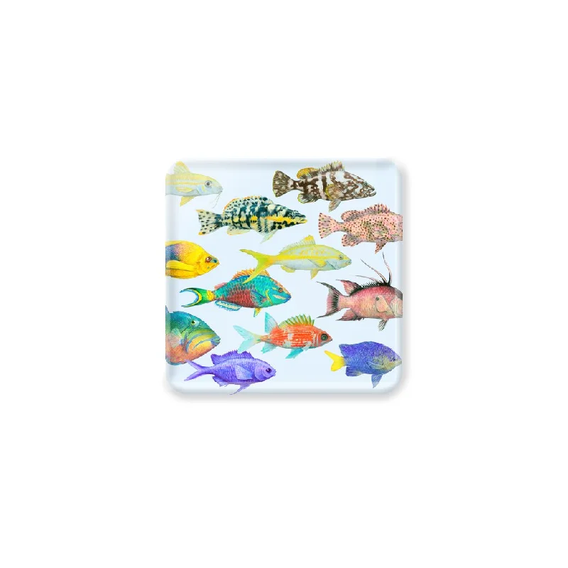 [CST-200] Fish of the Atlantic Coasters