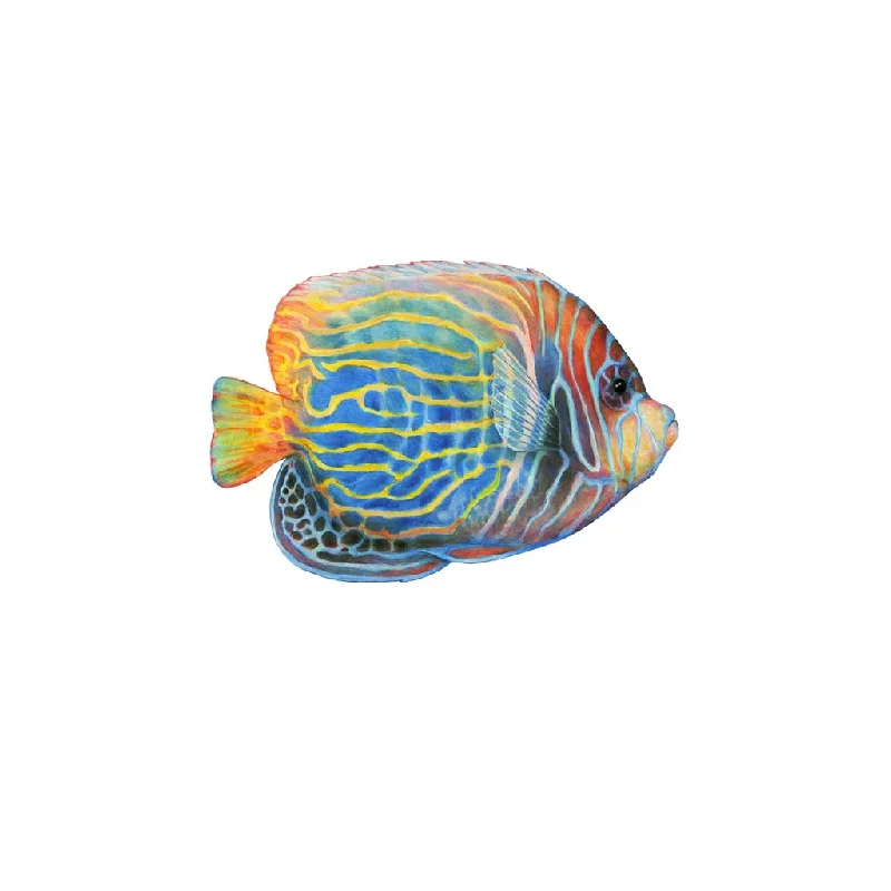 [203-MGL] Emperor Angelfish Laser Magnet