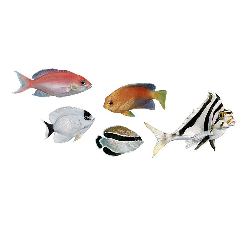 [SA-230] Hawaiian Fish 1 Stock Art