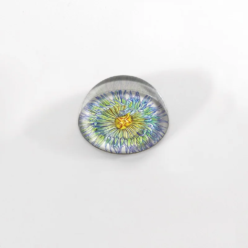 [339-MGC] Green Sea Anemone Cabochon Magnet