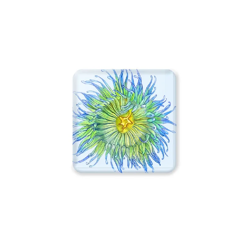 [CST-339] Green Sea Anemone Coasters