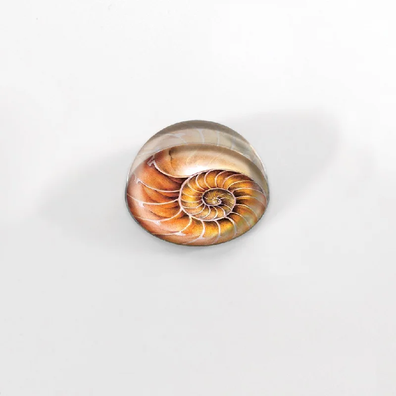 [350-MGC] Nautilus Cabochon Magnet