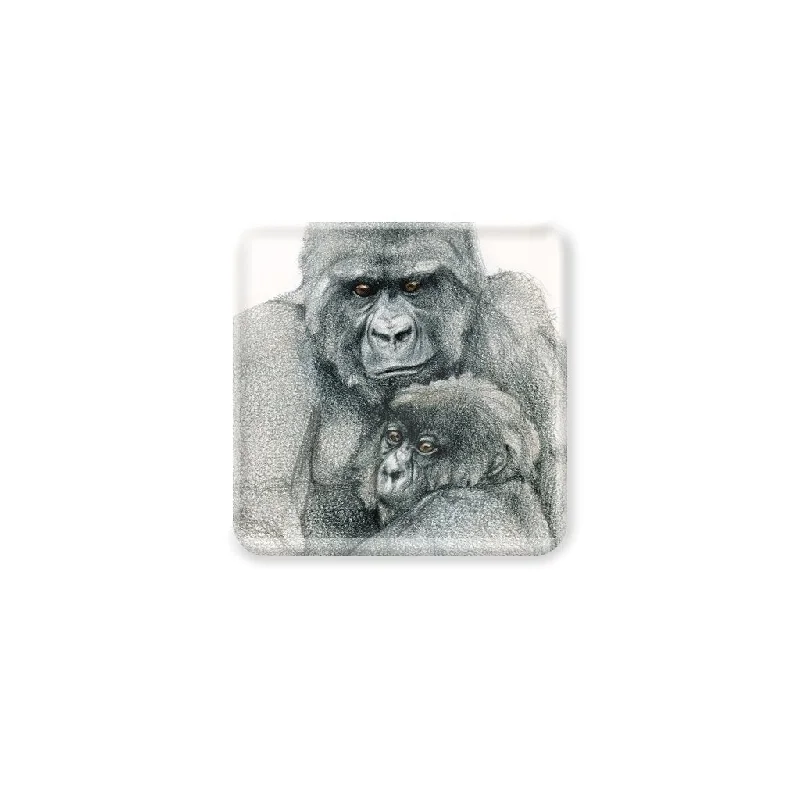 [CST-577] Mountain Gorilla Duo1 Coasters