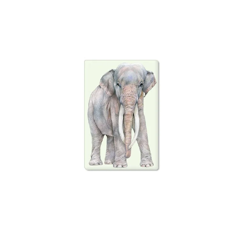 [608-SM] Asian Elephant Bull Single Magnet