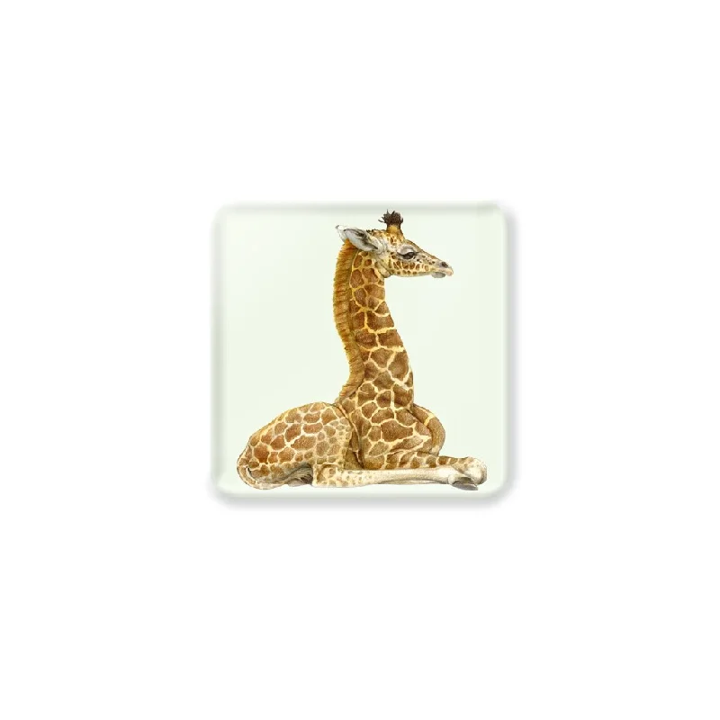 [CST-651] Giraffe Calf Coasters