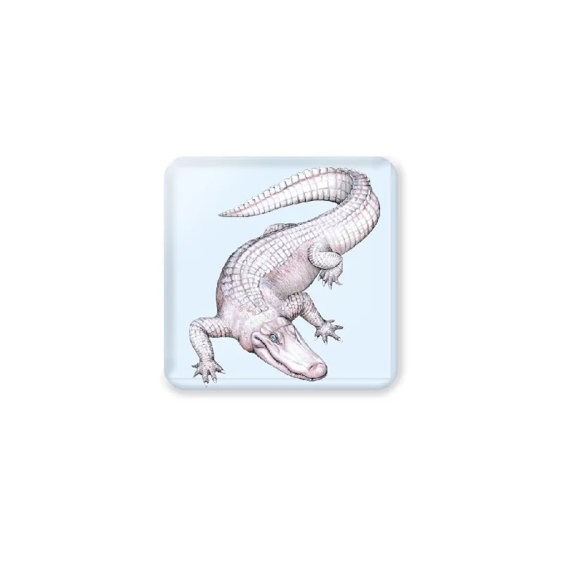 [CST-702] American White Alligator2 Coasters