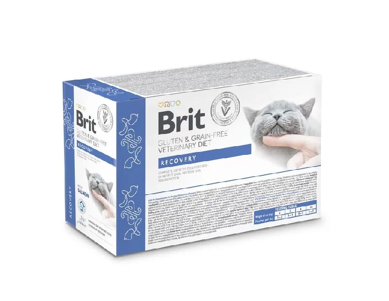 BRIT GF VD Cat Recovery, kod oporavka i smanjenog apetita, fileti u umaku 12x85g