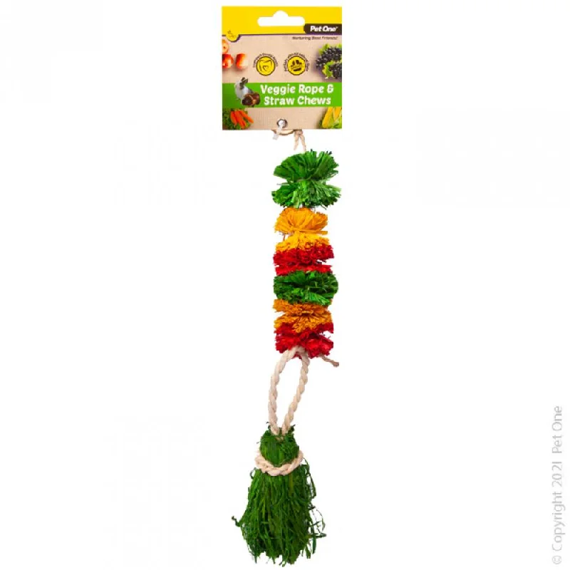 Pet One Veggie Rope and Straw Chew Hanging Pom Poms Small Animal Toy