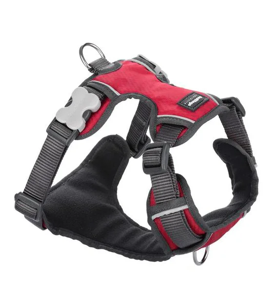 Red Dingo Padded Dog Harness (Red)