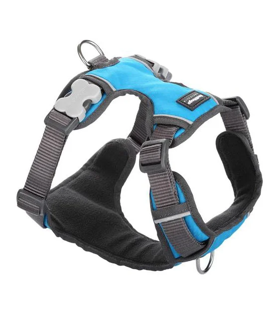 Red Dingo Padded Dog Harness (Turquoise)