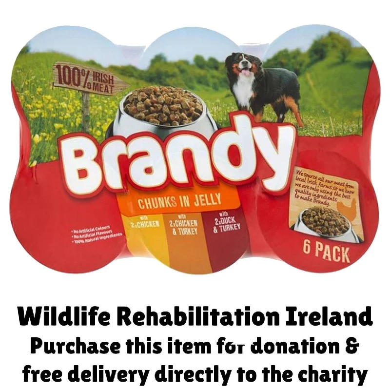 WILDLIFE REHABILITATION IRELAND DONATION - Brandy Chunks in Jelly